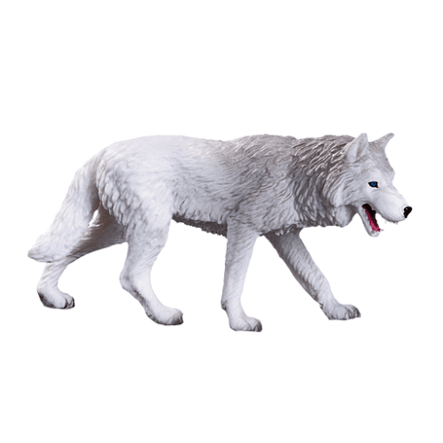 Arctic Wolf - 921813