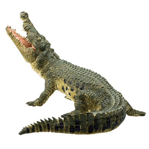 Crocodile With Moving Jaw