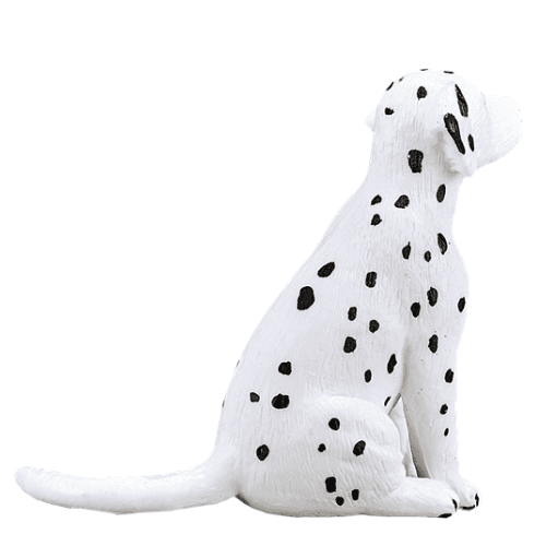 Dalmatian Puppy