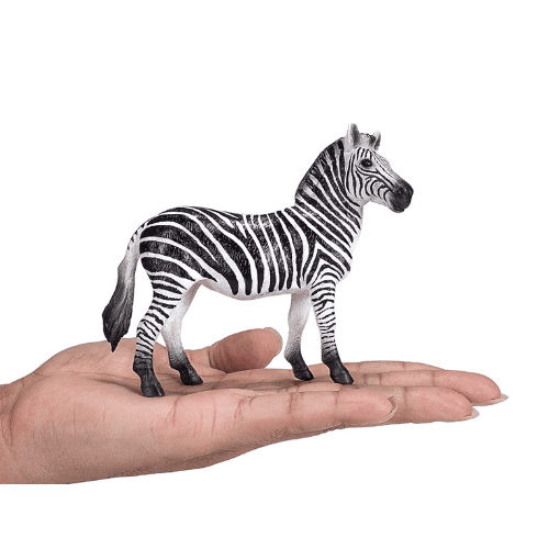 Zebra Mare - 921793