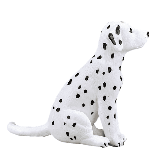 Dalmatian Puppy