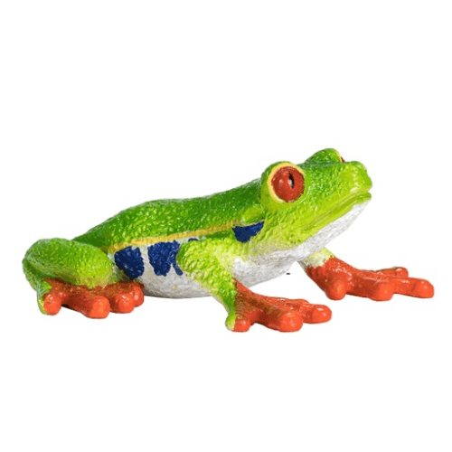 Red Eyed Tree Frog