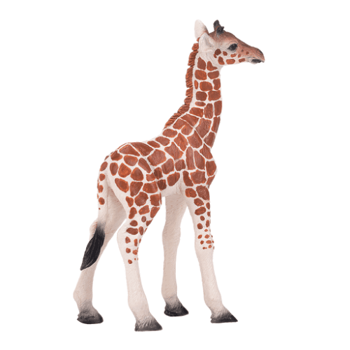 Giraffe Calf - 921791