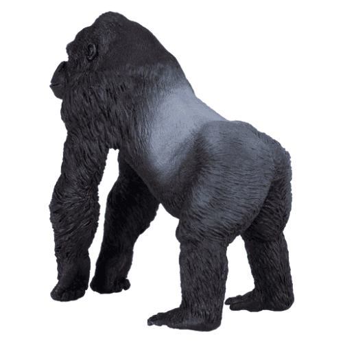 Gorilla Male Silverback - 921812