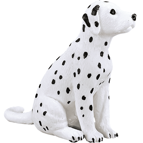 Dalmatian Puppy