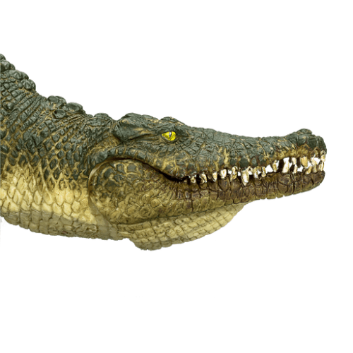 Crocodile With Moving Jaw