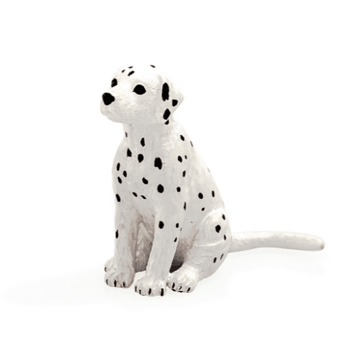 Dalmatian Puppy