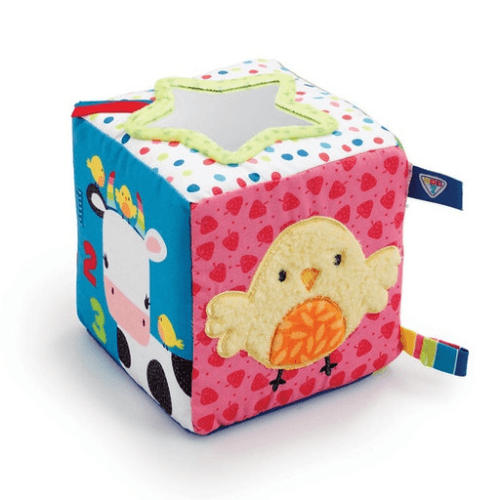 Blossom Farm  Activity Cube