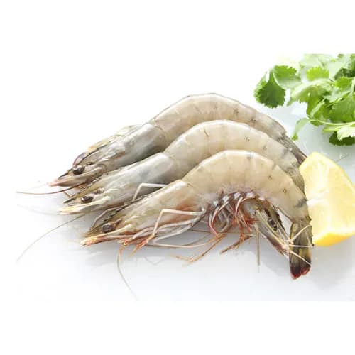 Shrimps Sea White 10/20 1kg