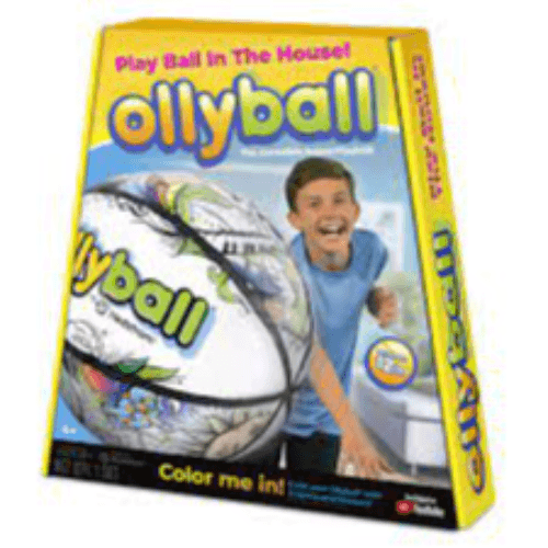 Hedstrom Ollyball Play Without Limits