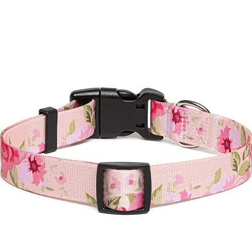 Colorful Leash Kit Medium Patterns of ROSE (Buy 1 Get 1 Free)