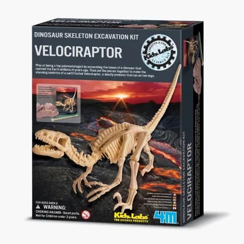 4M كيدز مختبرات Velociraptor الهيكل العظمي مجموعة الحفر