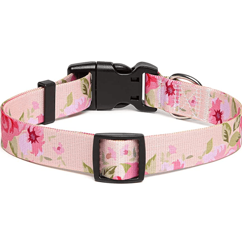 Colorful Leash Kit (Large) Patterns of ROSE (Buy 1 Get 1 Free)