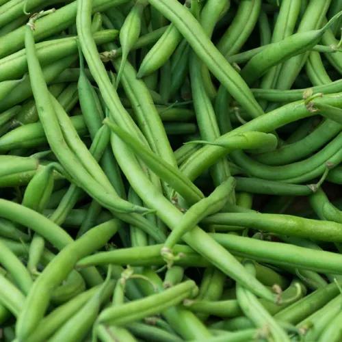 Green Beans 500gm