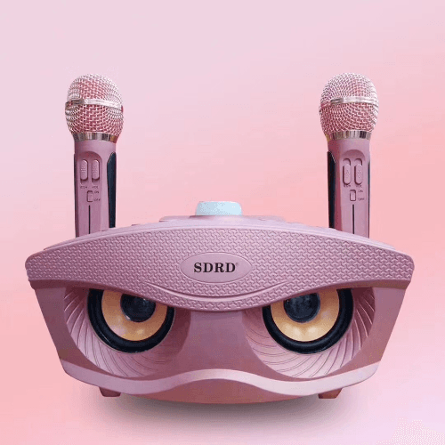 Sdrd Karoke Speaker With 2 Mic Pink