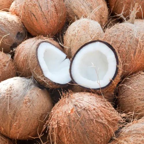 Coconut Whole  1pc