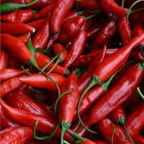 Chilli Red Thailand 125gm