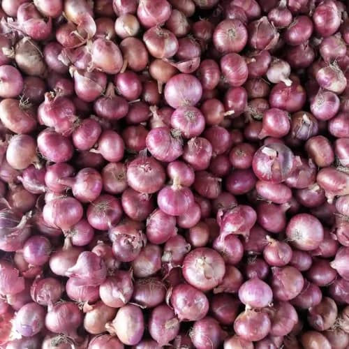 Small Onion India 200gm