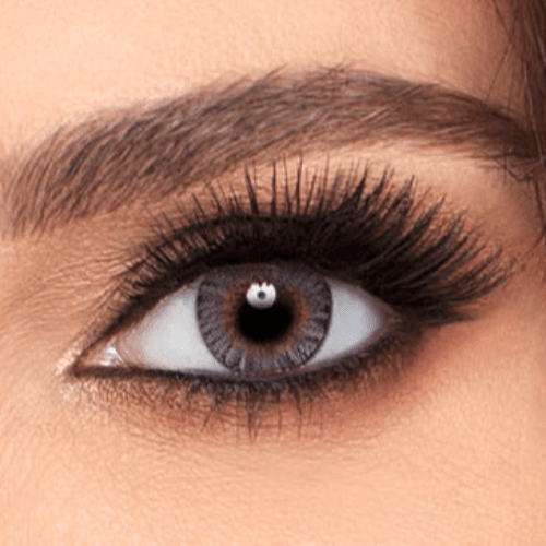 Alcon Freshlook -  Grey -0.00
