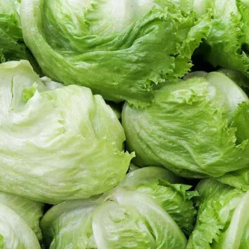 Iceberg Lettuce 1pc