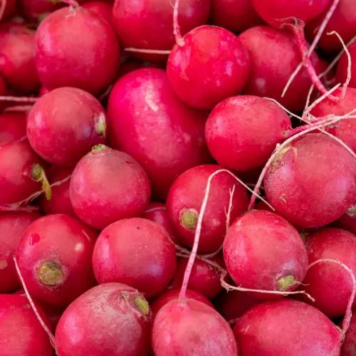 Radish Red Pkt 125gm