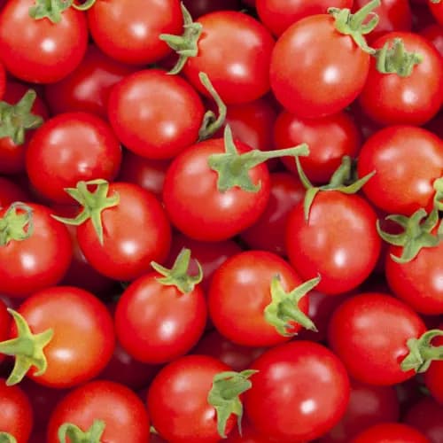 Cherry Tomato Red 250gm