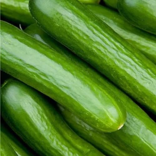 Cucumber Premium 500gm