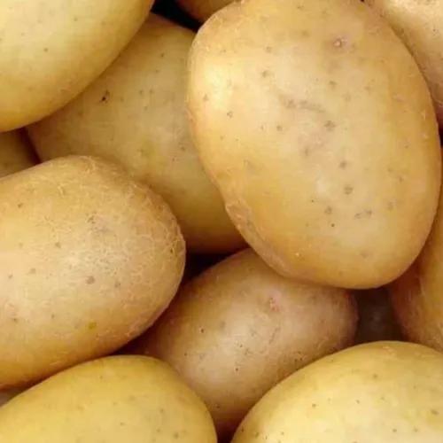 Potato 1kg