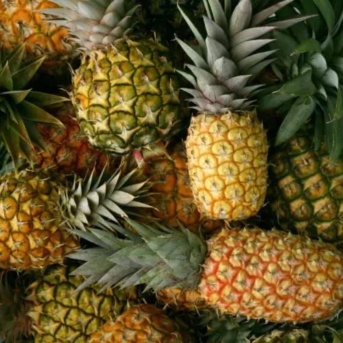 Pineapple India 1pc