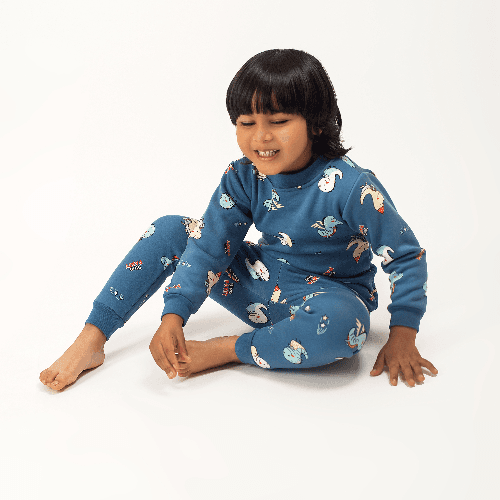 Boys Blue Winter Pyjama With Dino Party