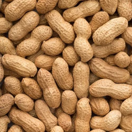 Peanut India 500gm