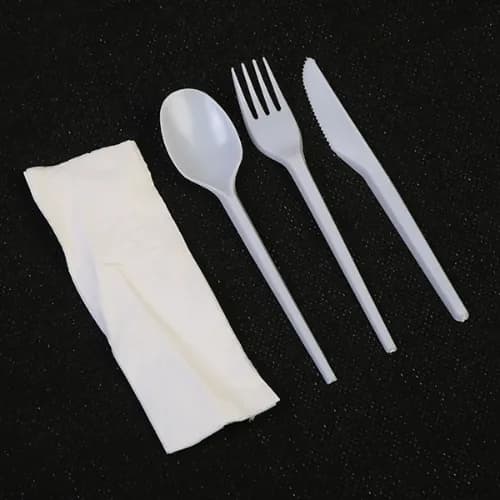 Plastic Cutlery Set White (1X25Pc)