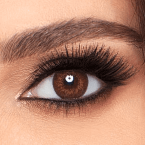 Alcon Freshlook -  Brown -0.00