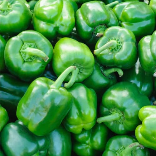 Capsicum Green 500gm