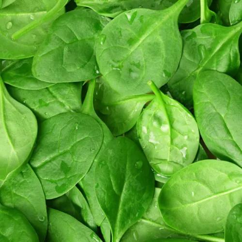 Baby Spinach 125gm