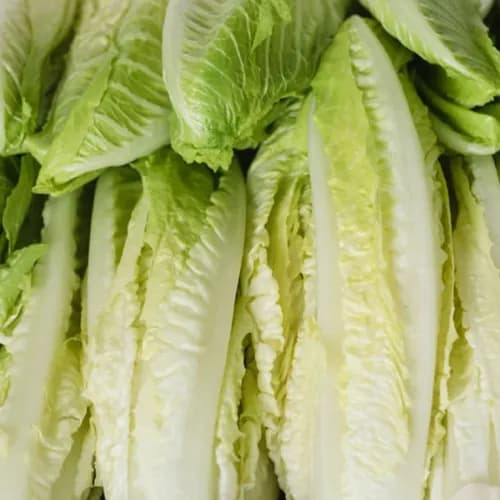 Lettuce 1bunch