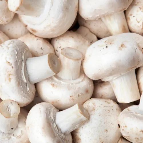 Mushroom White Pkt 250gm