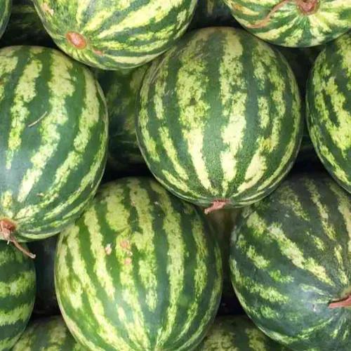 Watermelon Half 1pc ( 3 To 4 Kg )