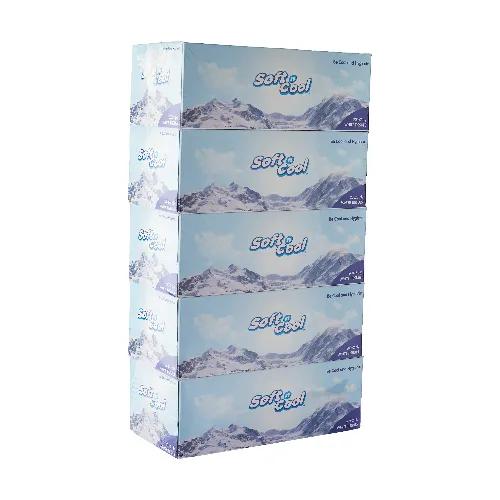 Soft N Cool Tissue 200 Shts 2Ply-1*30Box