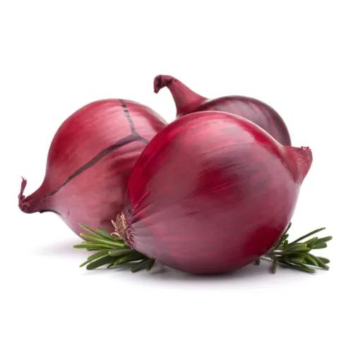 Onion