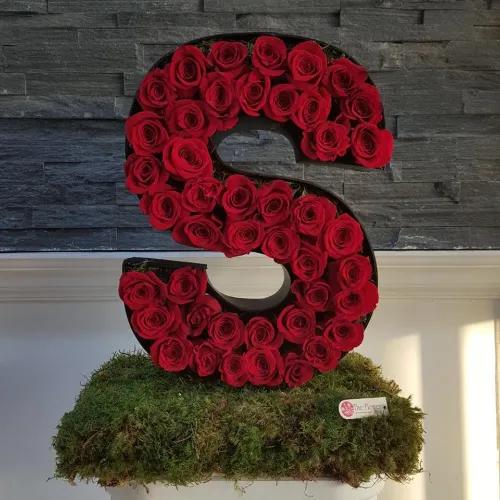 Letter S With Red Roses In Grass