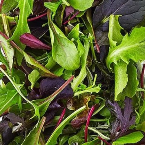 Baby Mixed Leaves 125gm