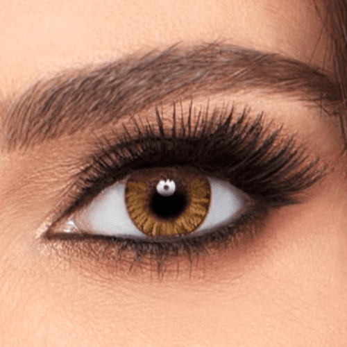 Alcon Freshlook -  Honey -0.00