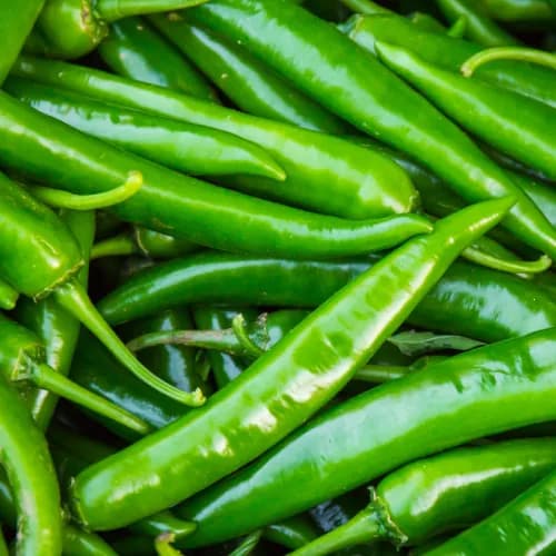 Green Chilli 100gm