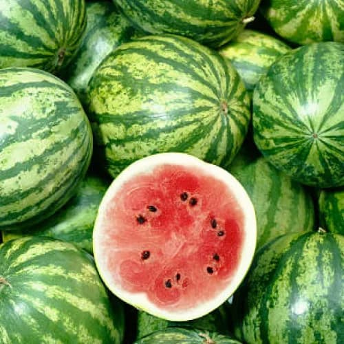 Watermelon Whole 1pc ( 7 To 8 Kg )