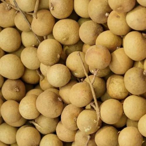 Longan Fruit Thai Pkt