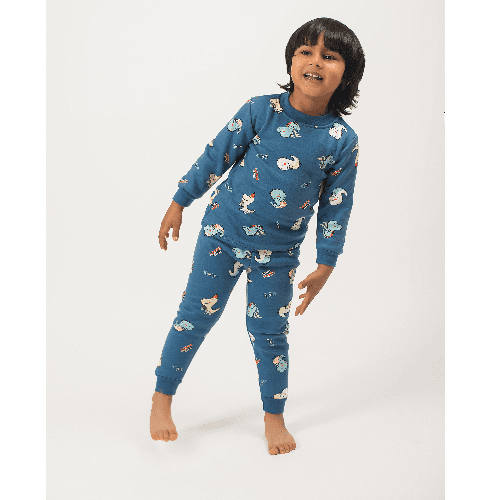 Boys Blue Winter Pyjama With Dino Party