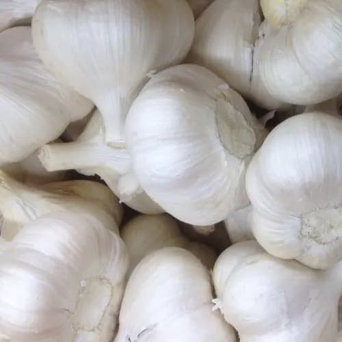 Garlic 1kg China