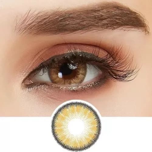 Lenses Dark Hazel 2 Pc Beauty Daily