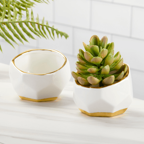 Geometric Planter -  Papillion Qtr